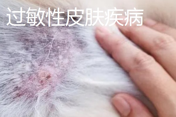 狗狗有哪些常见的皮肤病,有细菌性、真菌性皮肤病等
