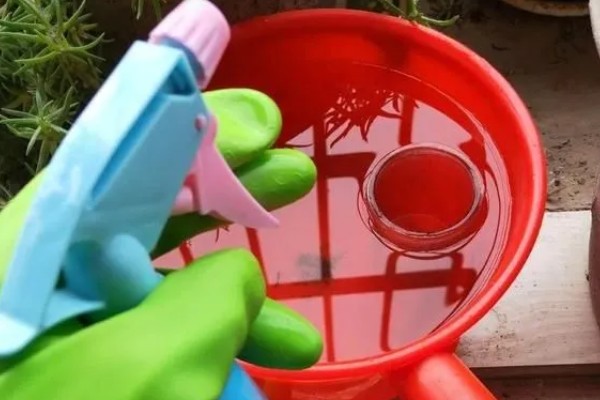 蛾蚋幼虫怎么彻底灭杀，将杀虫剂兑水稀释再倒入下水道