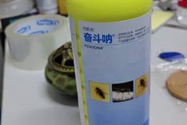 蛾蚋幼虫怎么彻底灭杀，将杀虫剂兑水稀释再倒入下水道