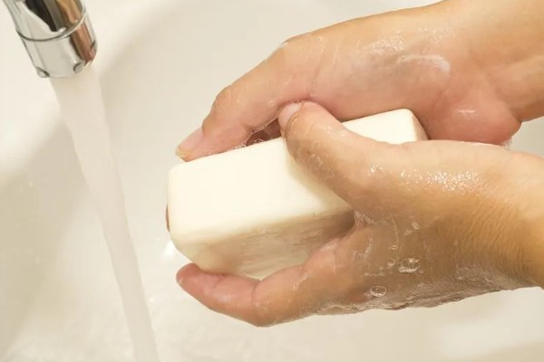 蛾蚋幼虫怎么彻底灭杀，将杀虫剂兑水稀释再倒入下水道