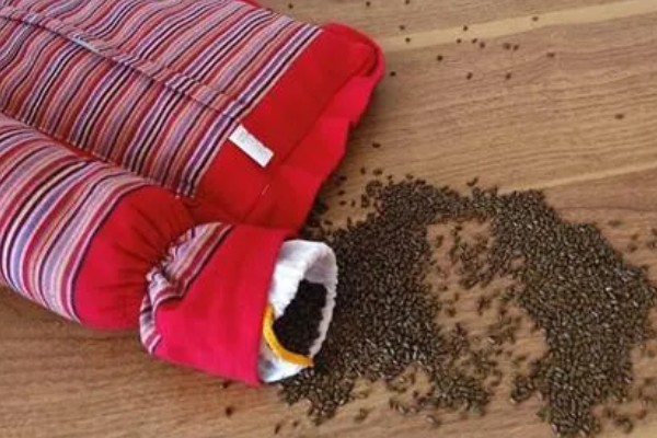 决明子枕头如何使用，白天建议放在太阳下晒会