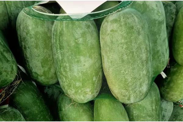 水果冬瓜与普通冬瓜有哪些区别，种植方法、外观、大小等方面都不同