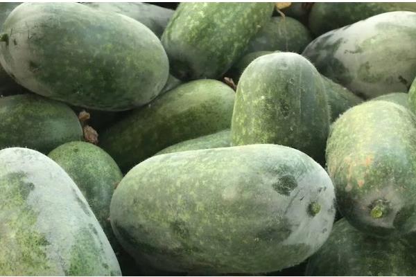 水果冬瓜与普通冬瓜有哪些区别，种植方法、外观、大小等方面都不同