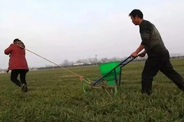 小麦肥料的用量和用法，高产田每亩地施10kg钾肥