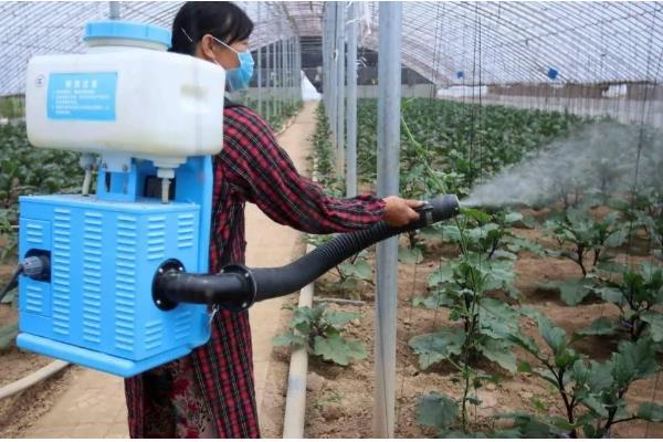 精喹禾灵除草几天见效,大概七天就可以见效