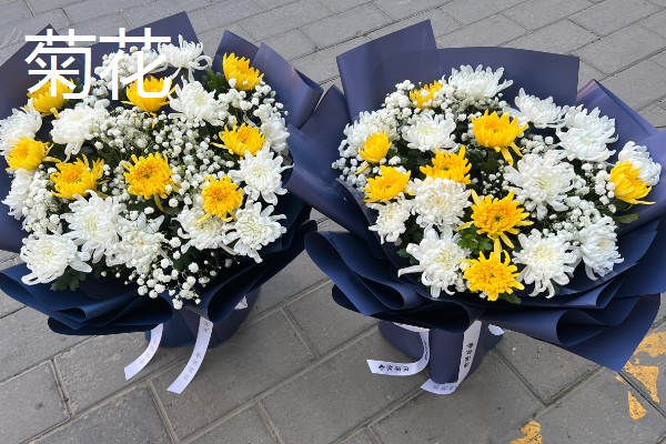 清明节用哪种花，可以用菊花、百合花等