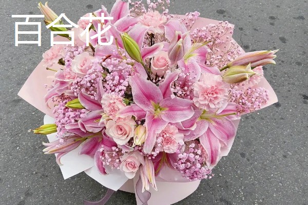 清明节用哪种花，可以用菊花、百合花等
