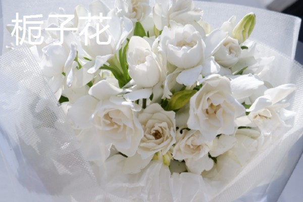 清明节用哪种花，可以用菊花、百合花等