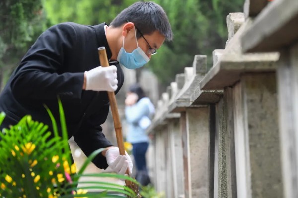 清明节用哪种花，可以用菊花、百合花等