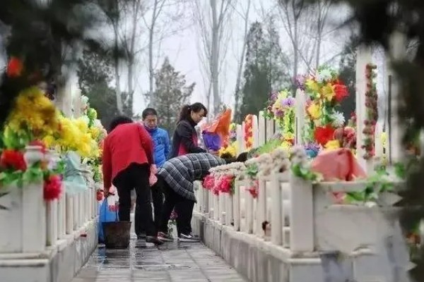 清明节用哪种花，可以用菊花、百合花等