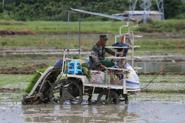 洋马6行插秧机耕作时怎么转弯,接近田埂时减速后退再转动方向盘