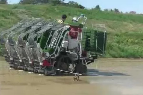 洋马6行插秧机耕作时怎么转弯,接近田埂时减速后退再转动方向盘