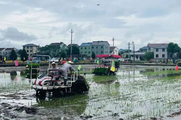 洋马6行插秧机耕作时怎么转弯,接近田埂时减速后退再转动方向盘