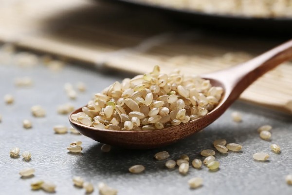 栽培稻的发源地，非洲栽培稻起源于尼日利亚