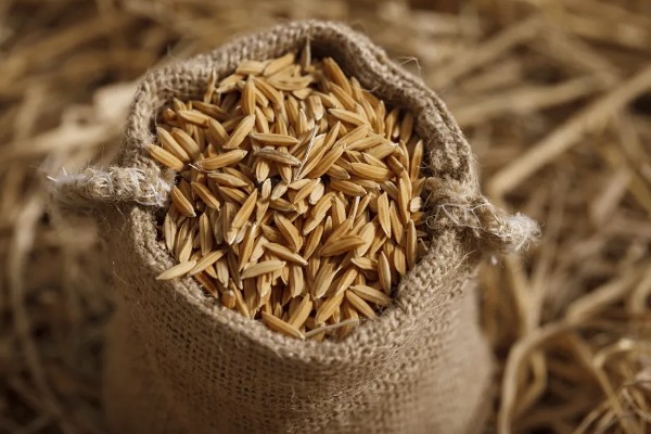 栽培稻的发源地，非洲栽培稻起源于尼日利亚