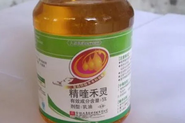 韭菜苗后的专用除草剂,常见的有精喹禾灵、精稳杀得等