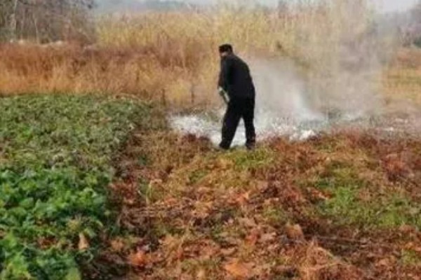 冬季蔬菜栽培措施,施肥宜晴天进行