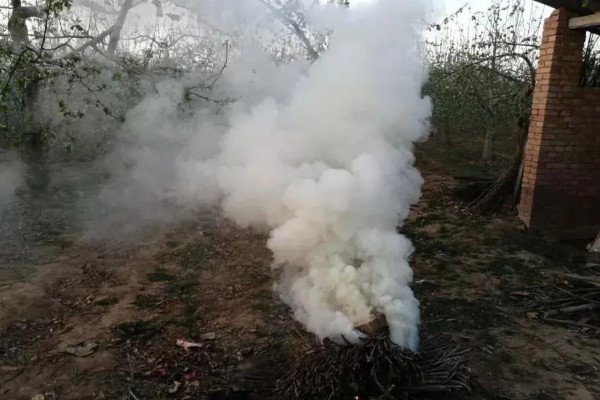 冬季蔬菜栽培措施,施肥宜晴天进行