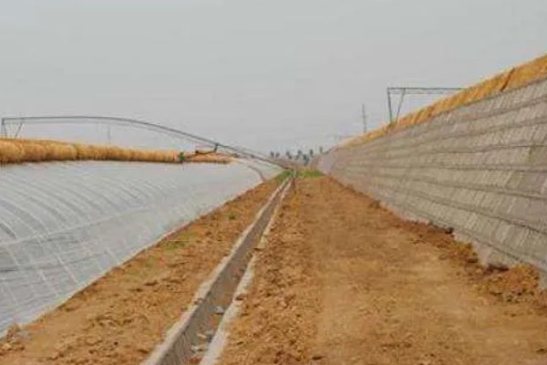 冬季蔬菜栽培措施,施肥宜晴天进行