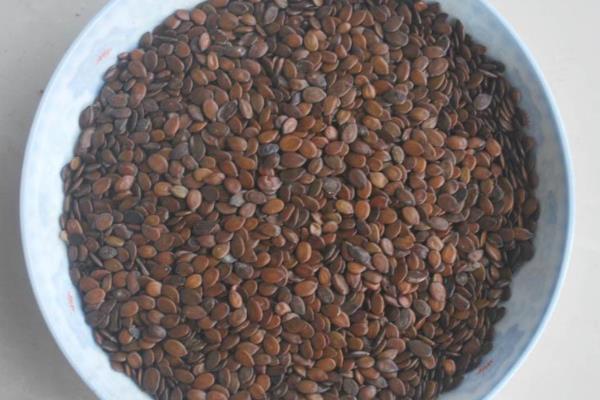 芙蓉花叶子能栽活吗，是不可活的