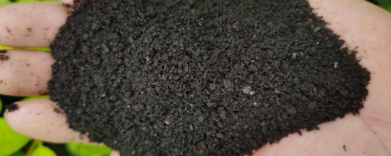 对小麦使用微生物菌肥的优点，能起到增产增收、培肥地力等作用