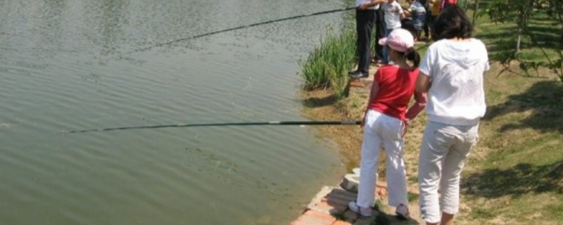 垂钓鲫鱼的适宜温度，最佳温度是15-25℃