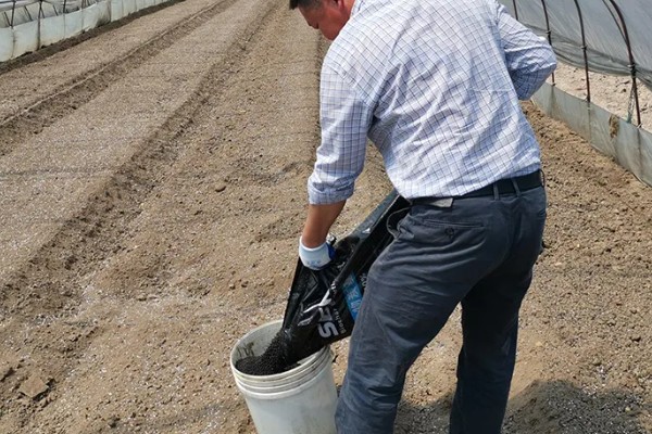 对小麦使用微生物菌肥的优点，能起到增产增收、培肥地力等作用