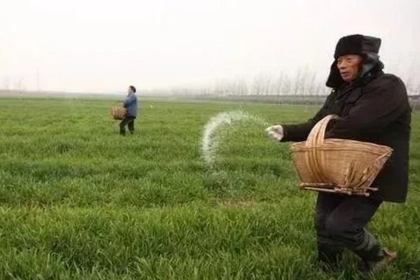 对小麦使用微生物菌肥的优点，能起到增产增收、培肥地力等作用