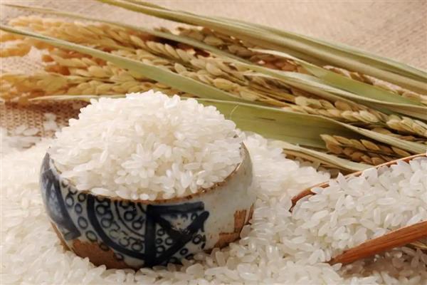 绿色大米怎么认证，提交申请后由专家审查