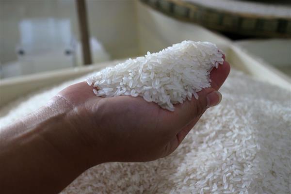 绿色大米怎么认证，提交申请后由专家审查