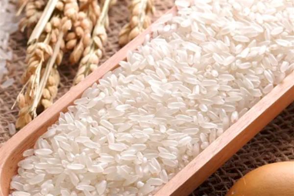 绿色大米怎么认证，提交申请后由专家审查