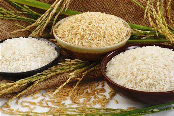 绿色大米怎么认证，提交申请后由专家审查