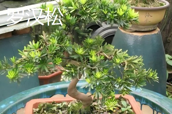 石磨有哪些寓意，寓意镇宅通财、驱邪避煞等