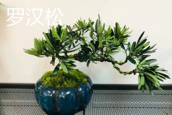 石磨有哪些寓意，寓意镇宅通财、驱邪避煞等