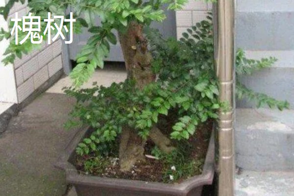 石磨有哪些寓意，寓意镇宅通财、驱邪避煞等