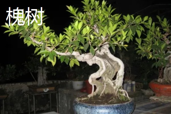 石磨有哪些寓意，寓意镇宅通财、驱邪避煞等