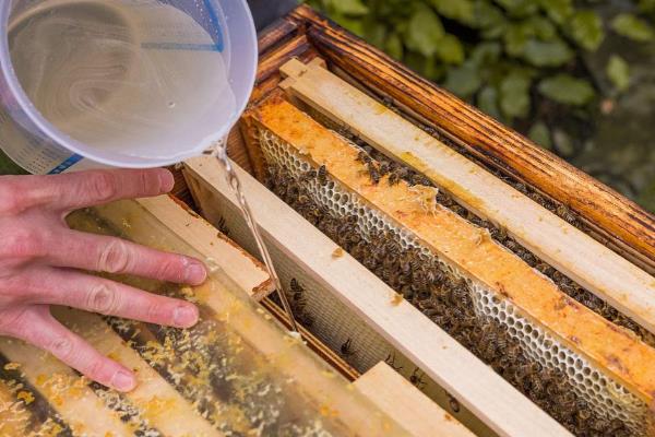 用花粉喂蜜蜂的方法,与糖浆混匀煮开然后放凉再饲喂