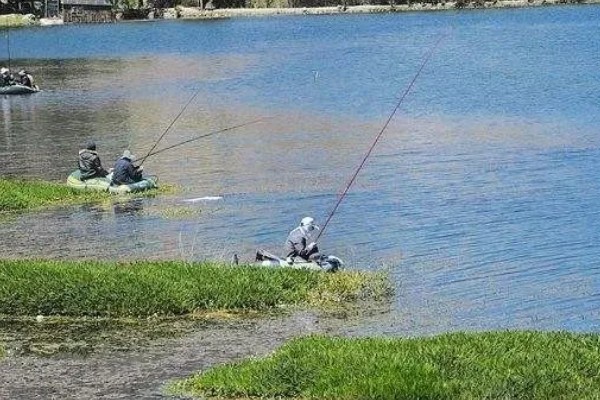 垂钓鲫鱼的适宜温度，最佳温度是15-25℃