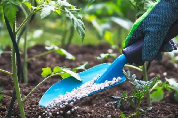 挪威雅苒肥如何使用,针对不同作物的使用方法不同