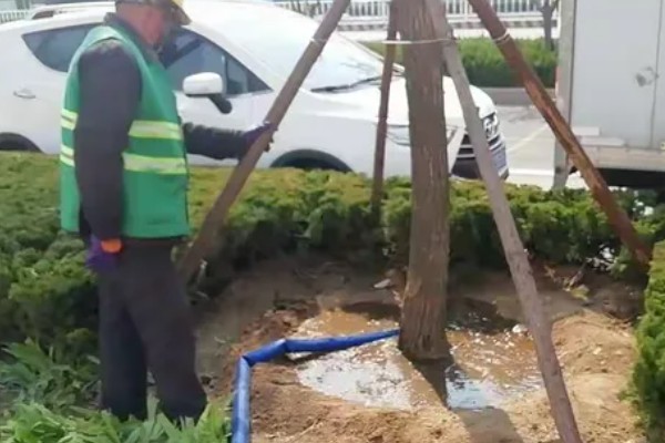 杨花的简介，是指垂柳的柳絮