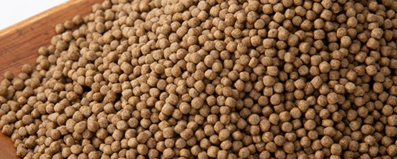 好的鱼饲料怎么辨别，可以看、闻、品和泡