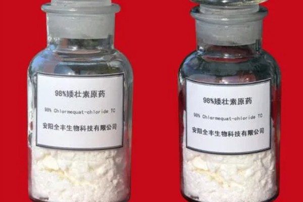 矮壮素有什么危害,使用过多会让植物停止生长