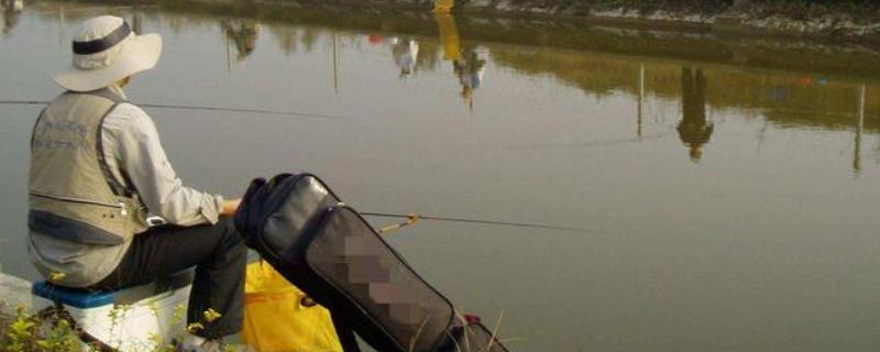 冬季黑坑钓青鱼的绝招，要选晴朗天气出钓