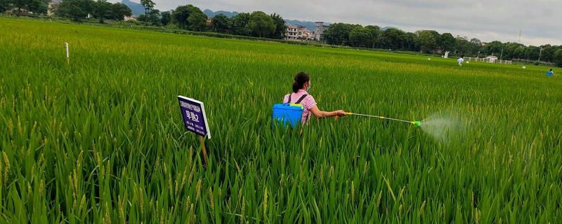 使用农药的误区，主要有以下5个误区