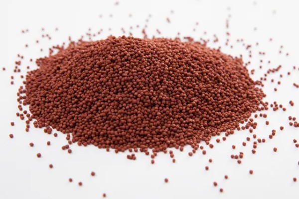 好的鱼饲料怎么辨别，可以看、闻、品和泡