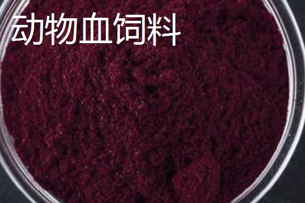 好的鱼饲料怎么辨别，可以看、闻、品和泡