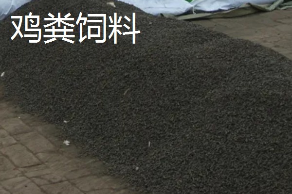 好的鱼饲料怎么辨别，可以看、闻、品和泡