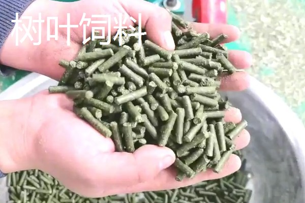 好的鱼饲料怎么辨别，可以看、闻、品和泡