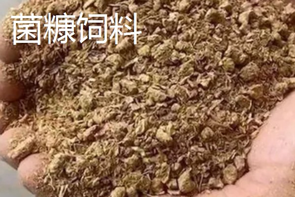 好的鱼饲料怎么辨别，可以看、闻、品和泡