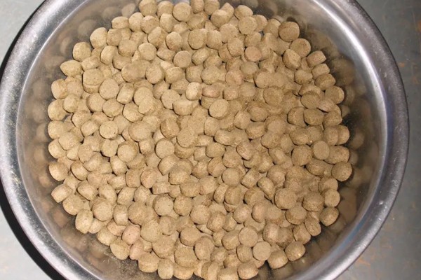 好的鱼饲料怎么辨别，可以看、闻、品和泡